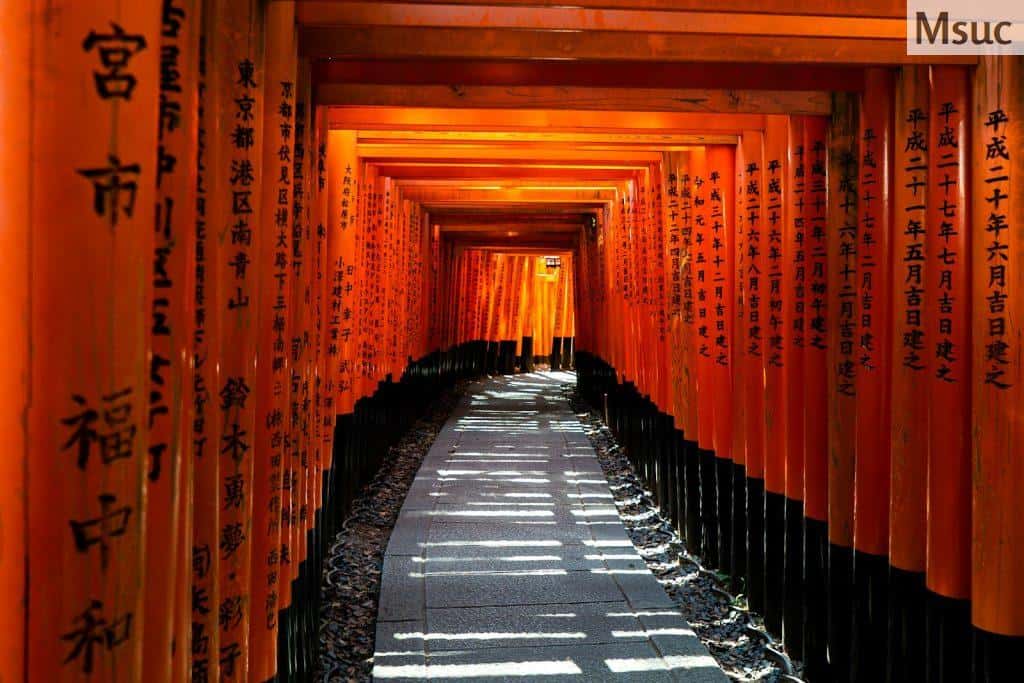 empty tunnel between red walls