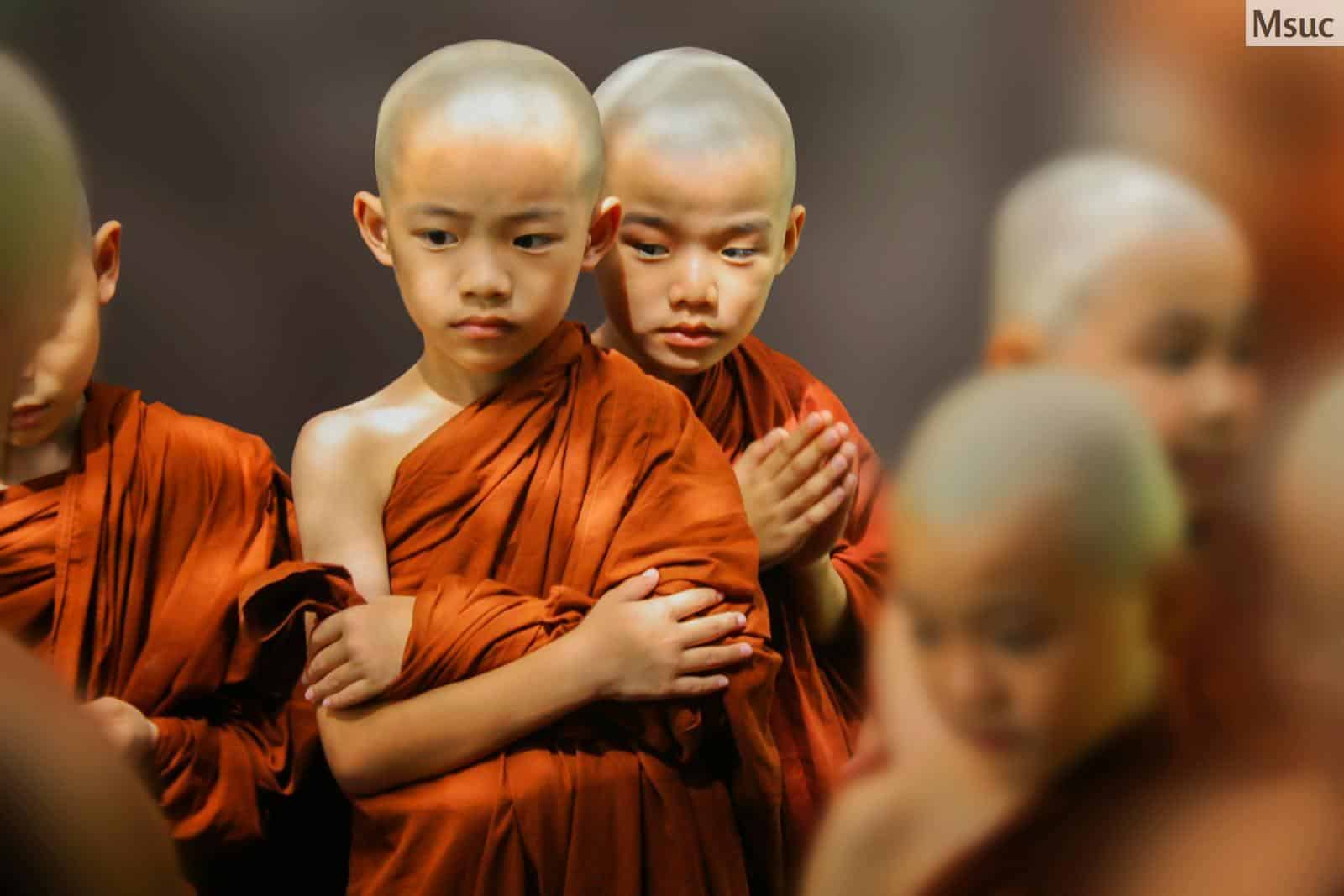 monjes