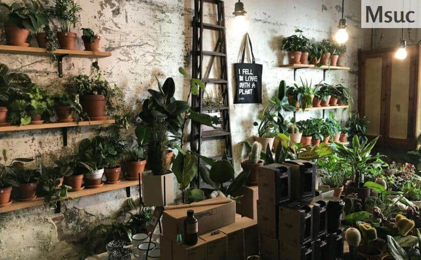 Características del mejor grow shop