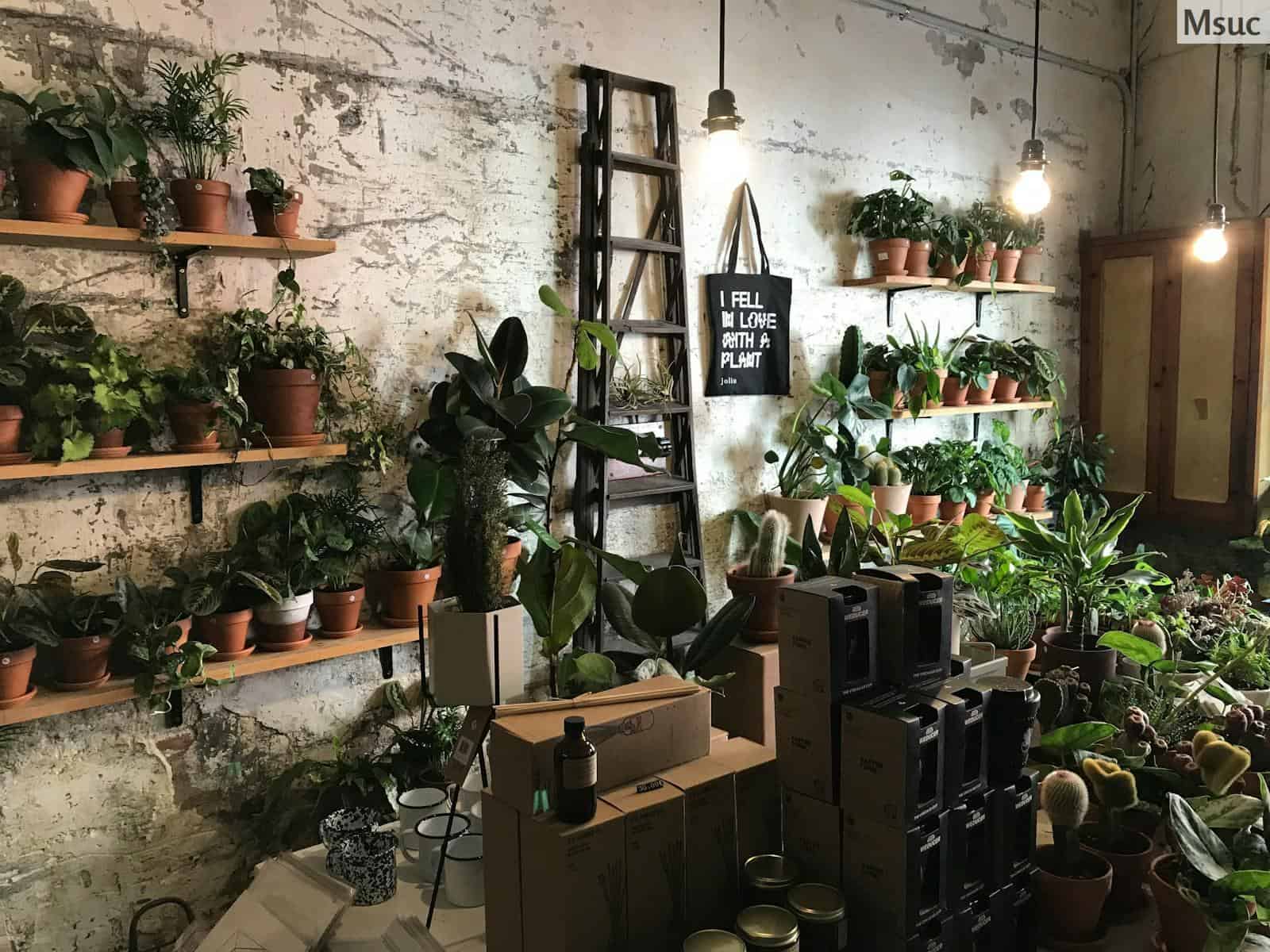 Características del mejor grow shop