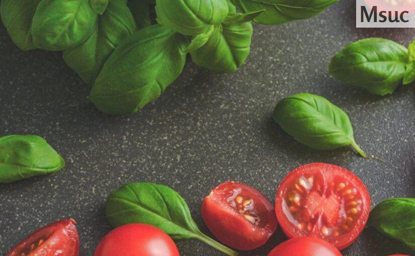 La Tomatina: El festival de los tomates en Buñol