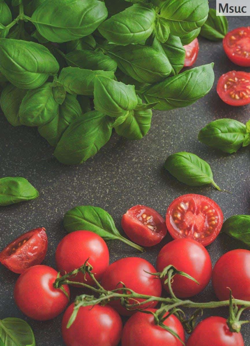 tomates