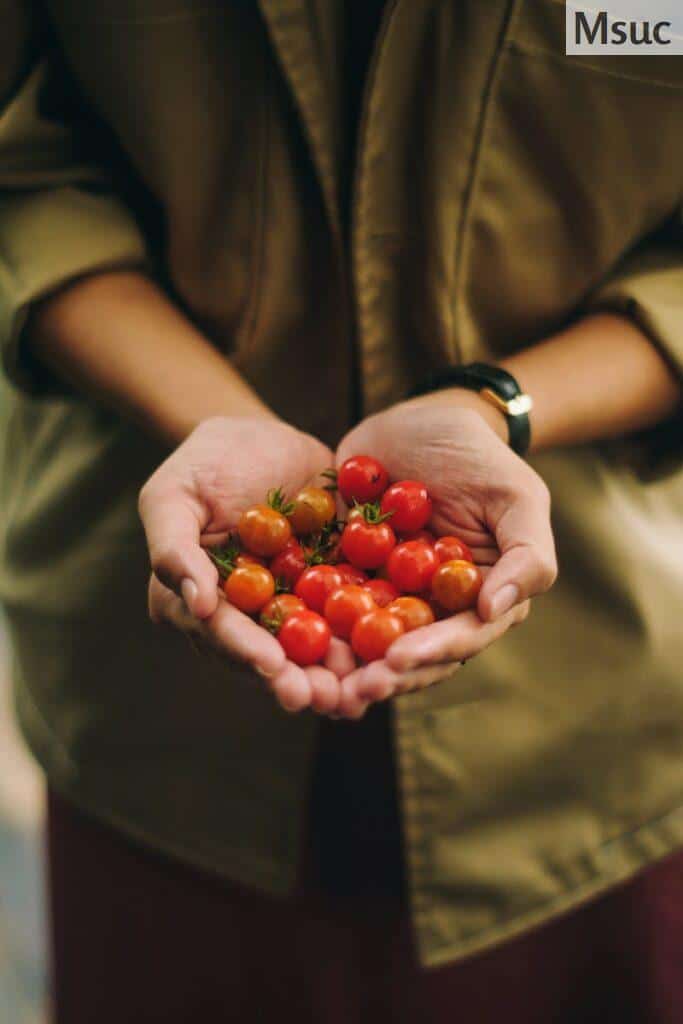 tomates