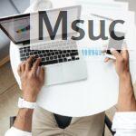 ¿Para qué sirve la auditoría SEO en una empresa?